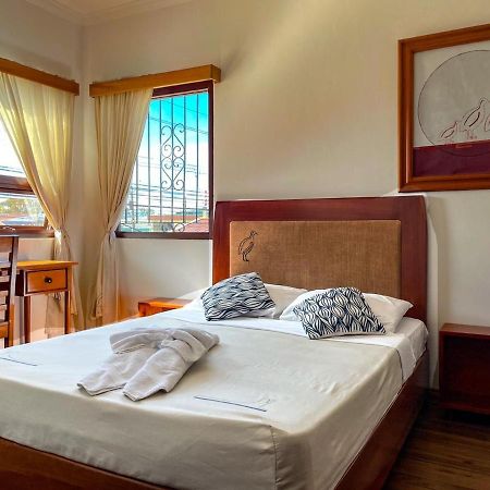 Luz De Luna Hotel Barrio Escalante 산호세 외부 사진