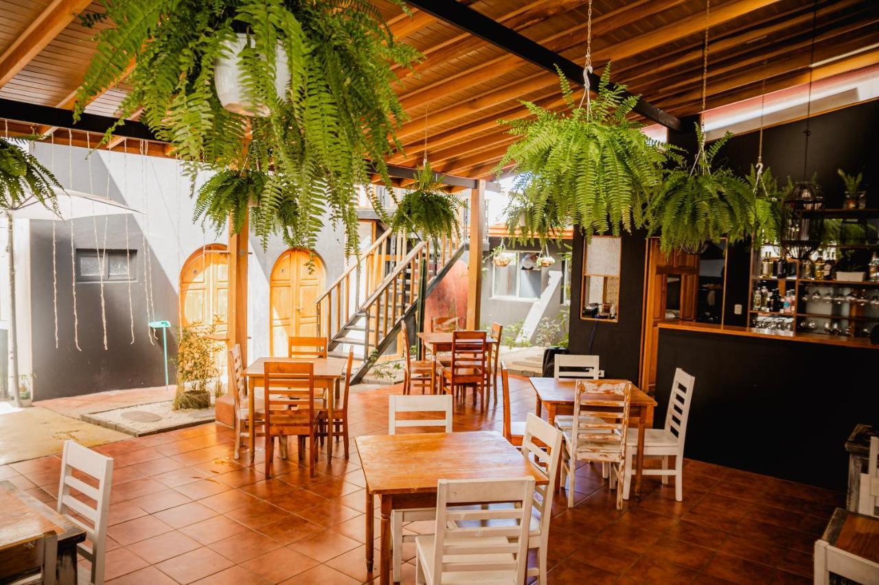 Luz De Luna Hotel Barrio Escalante 산호세 외부 사진