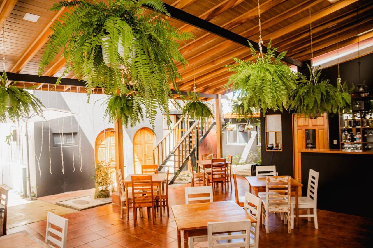 Luz De Luna Hotel Barrio Escalante 산호세 외부 사진