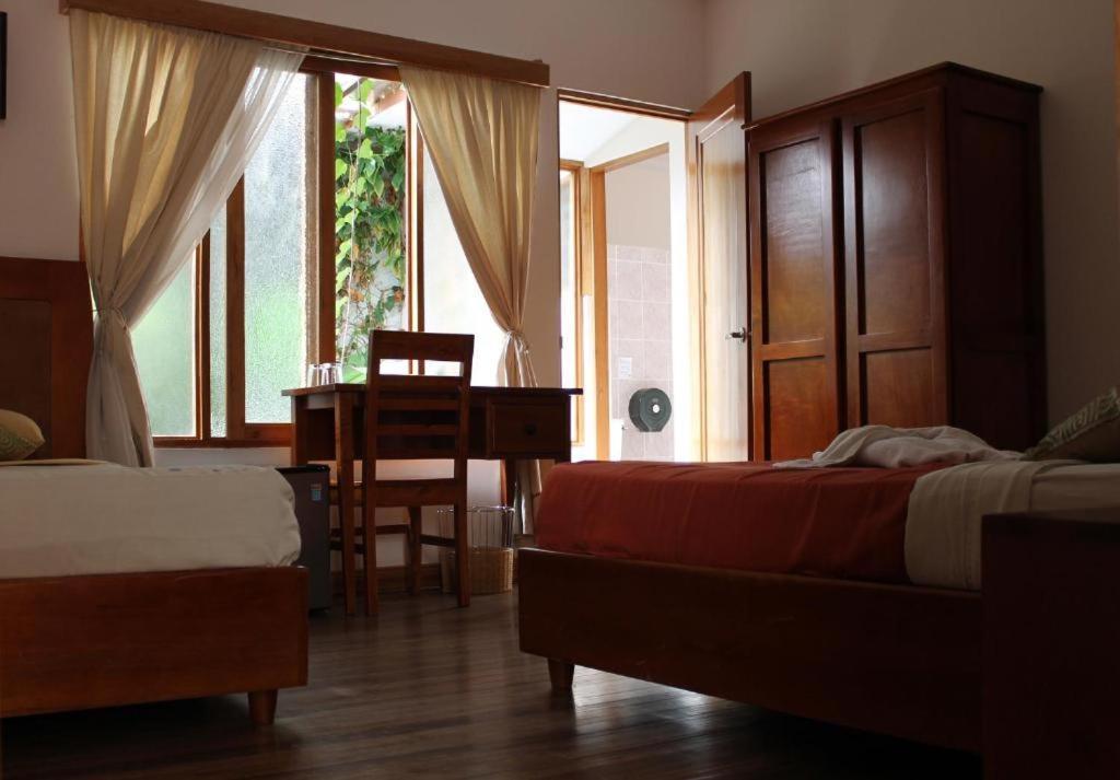 Luz De Luna Hotel Barrio Escalante 산호세 외부 사진